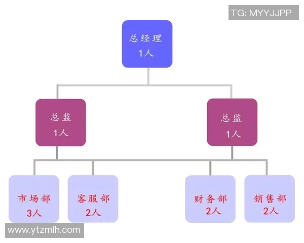 职业体育经纪人与运动员商业价值开发策略